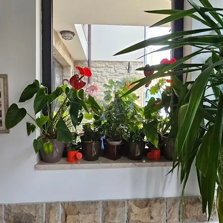 Guest house Saint Petka 3*