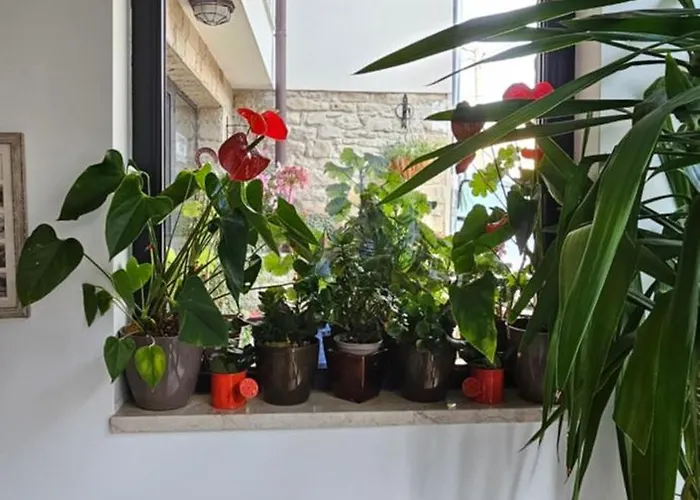 Guest house Saint Petka 3*